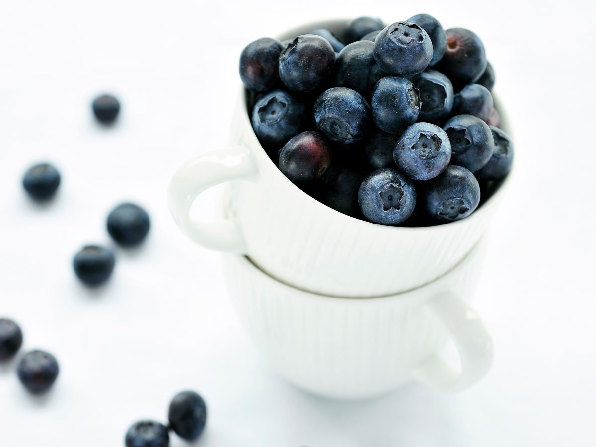 Ingrediënt in de kijker Blauwe Bessen