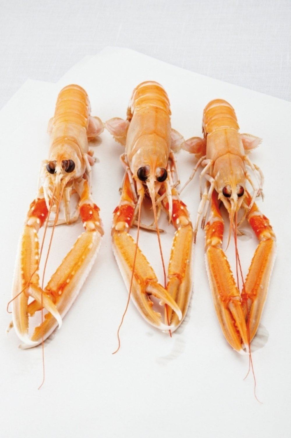 Hapje van langoustines