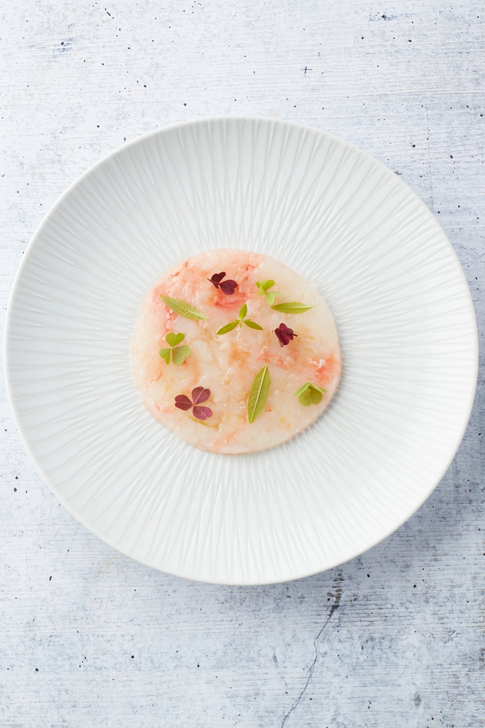 Langoustinecarpaccio