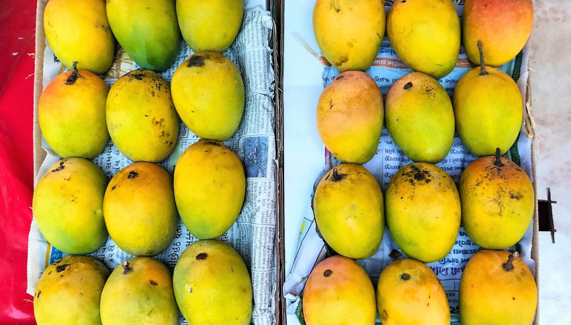 Exotische smaken uit India: Mango, kardemom en saffraan