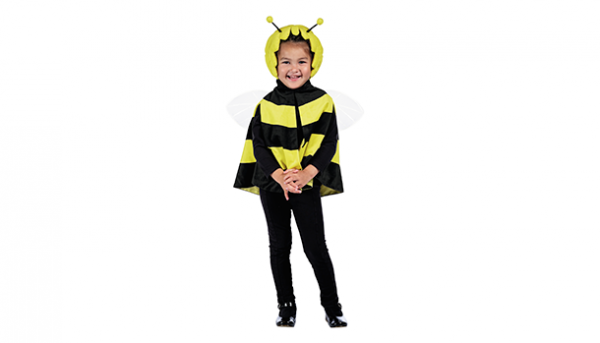Parfait panier à cadeaux rêvés : Le déguisement de Maya l'Abeille